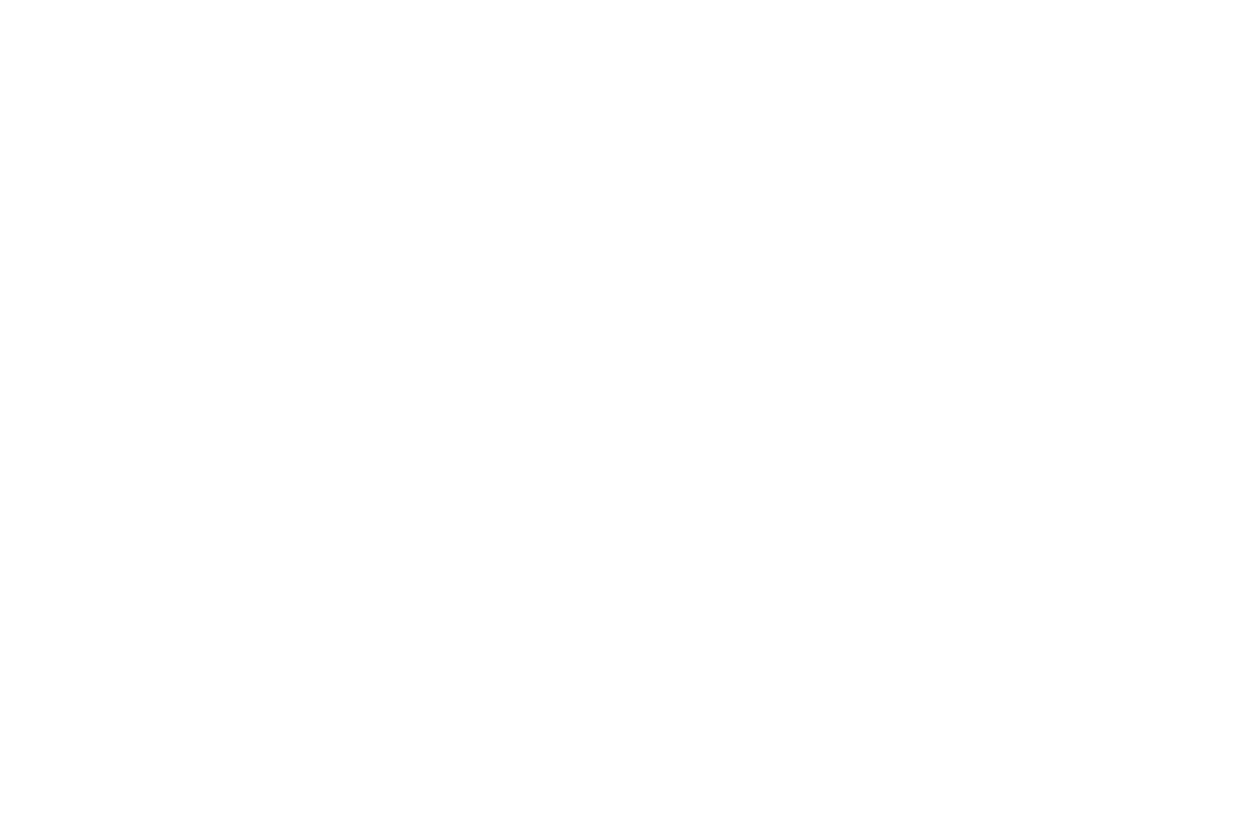 Audemars Piguet: Meatpacking District